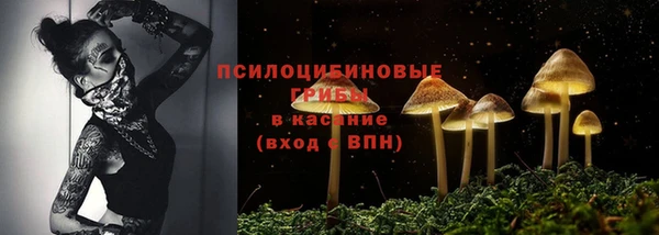 спайс Аркадак