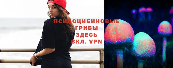 спайс Аркадак