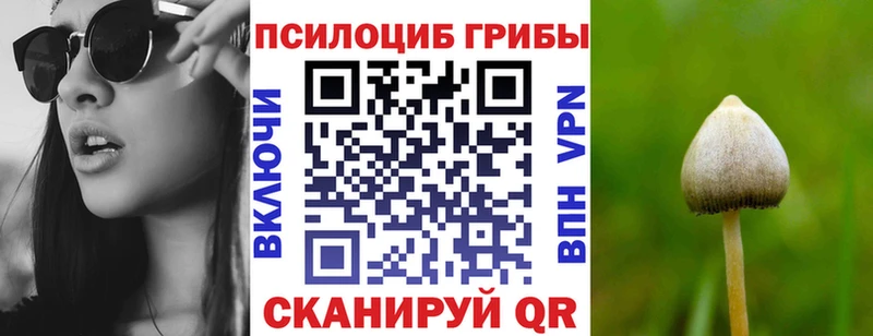 Псилоцибиновые грибы ЛСД  как найти наркотики  Протвино 